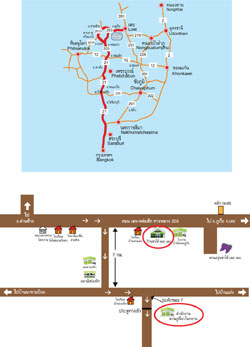 มะคาเดเมีย, ข้าวลืมผัว