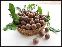 มะคาเดเมีย