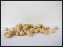 มะคาเดเมีย