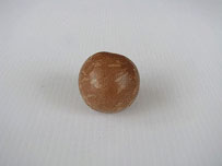 มะคาเดเมีย, macadamia