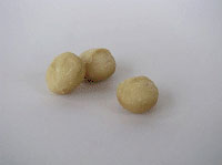 มะคาเดเมีย, macadamia